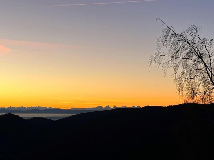 Un Coin De Montagne Appartement Linthal Buitenkant foto