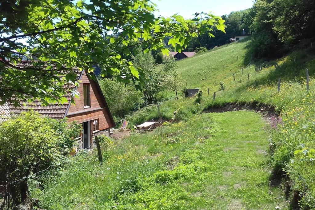 Un Coin De Montagne Appartement Linthal Buitenkant foto