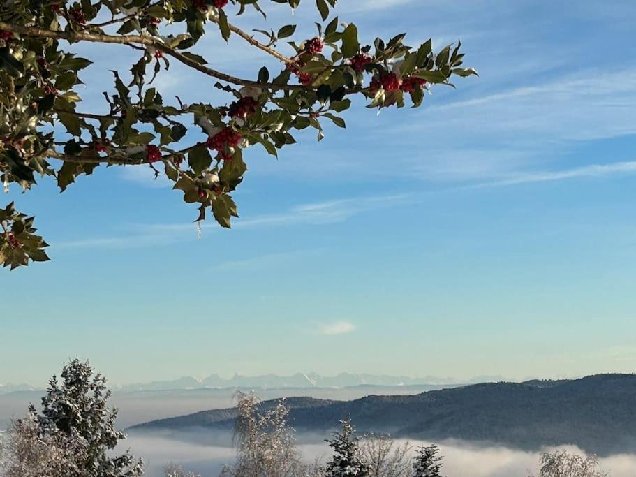 Un Coin De Montagne Appartement Linthal Buitenkant foto