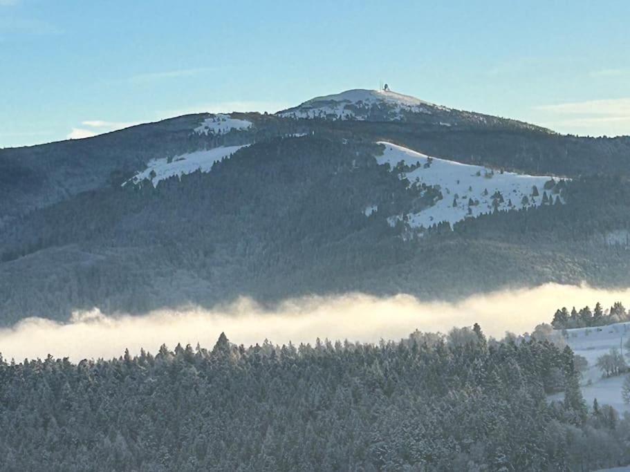 Un Coin De Montagne Appartement Linthal Buitenkant foto