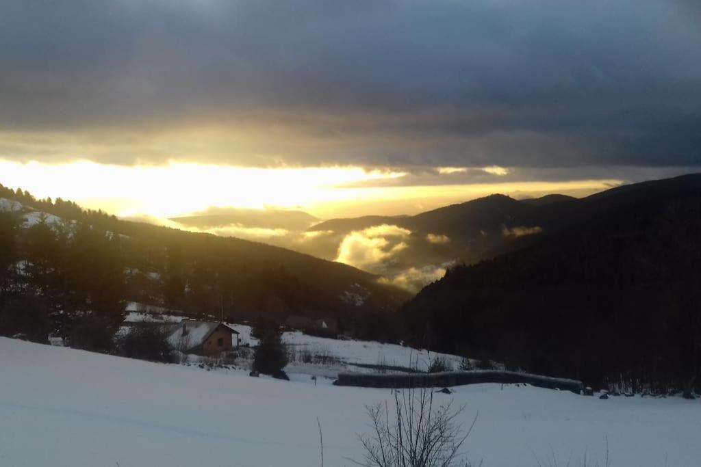 Un Coin De Montagne Appartement Linthal Buitenkant foto