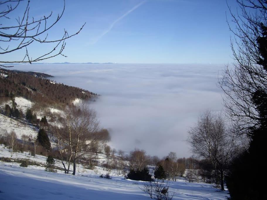Un Coin De Montagne Appartement Linthal Buitenkant foto